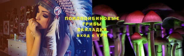 дурь Приозерск