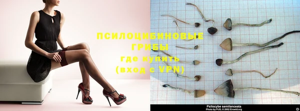 jwh Пролетарск