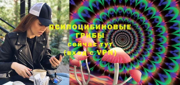 дурь Приозерск