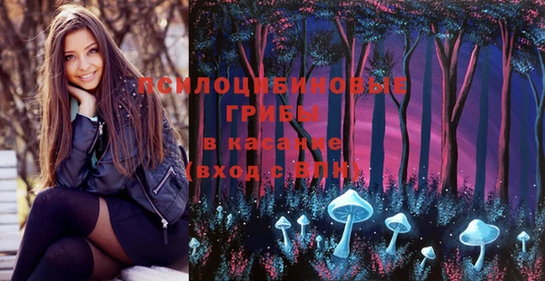 дурь Приозерск