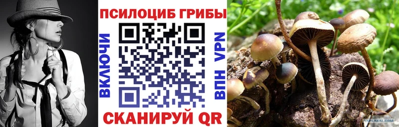 Галлюциногенные грибы ЛСД  купить закладку  Комсомольск-на-Амуре 