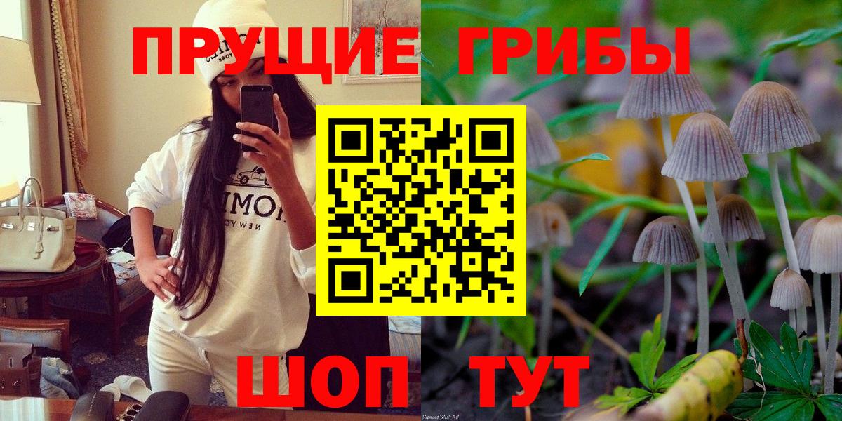 Псилоцибиновые грибы MAGIC MUSHROOMS  Вход с VPN  Комсомольск-на-Амуре 