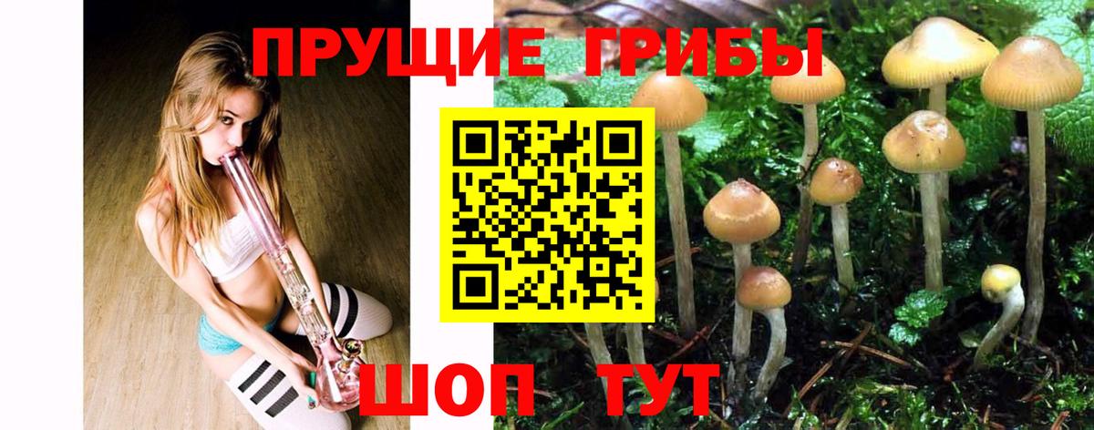 НБОМе Комсомольск-на-Амуре